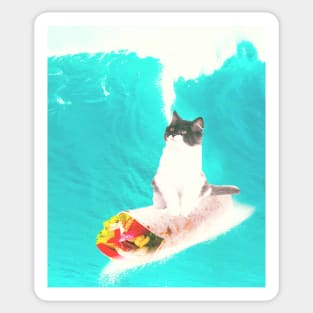 Kitty Cat Surfing Burrito Sticker